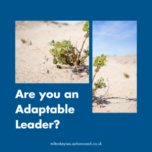 Are you an adaptable leader?